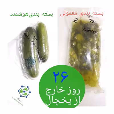 نایلون بسته بندی اکتیویت مدل هوشمند بسته 21 عددی