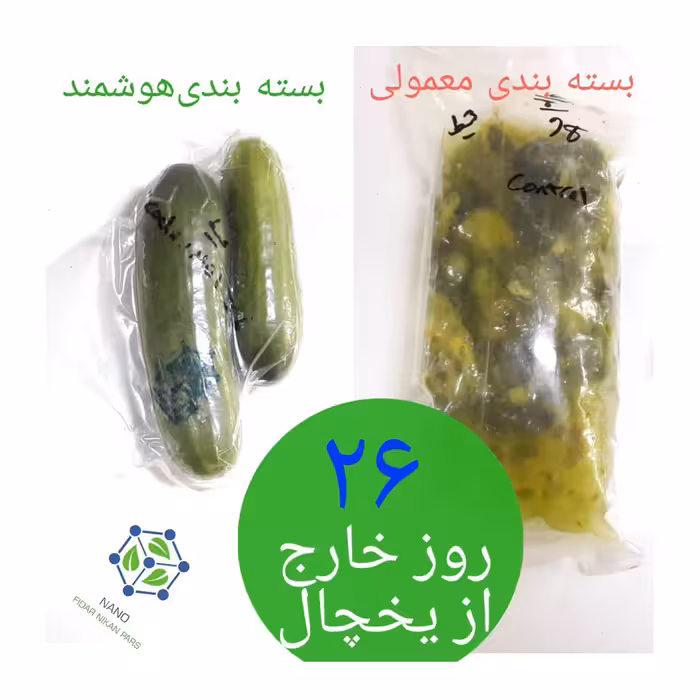 نایلون بسته بندی اکتیویت مدل هوشمند بسته 21 عددی