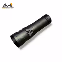 چراغ قوه زینگارو مدل ZA-F95