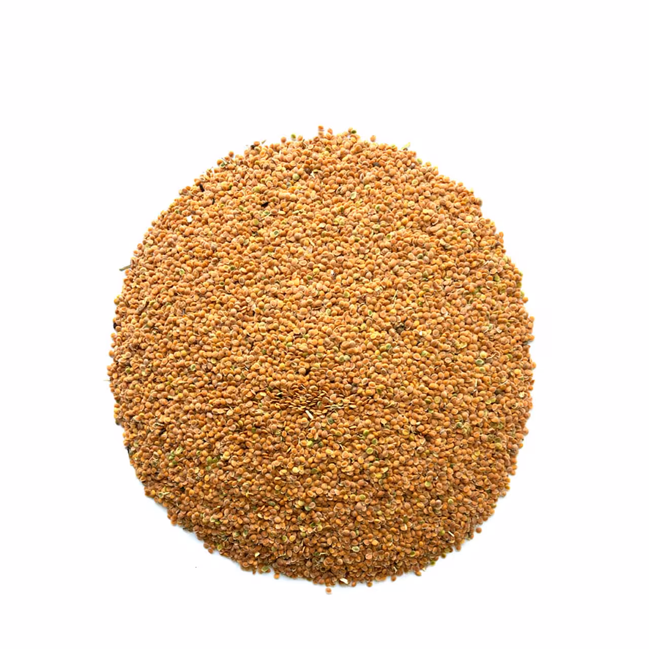 قدومه شیرازی 45 گرمی