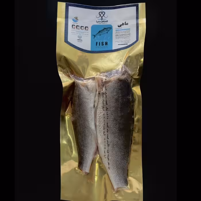 ماهی شوریده 500 گرمی 