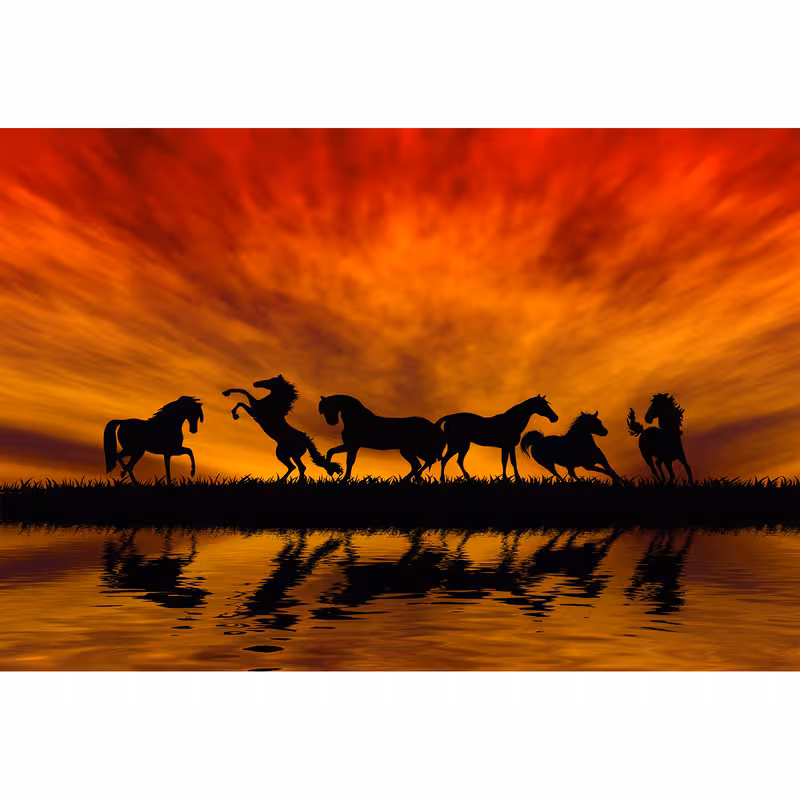 تابلو شاسی سری زیباترین عکس های جهان طرح اسب های زیبا کد 146 | دنیای قاب