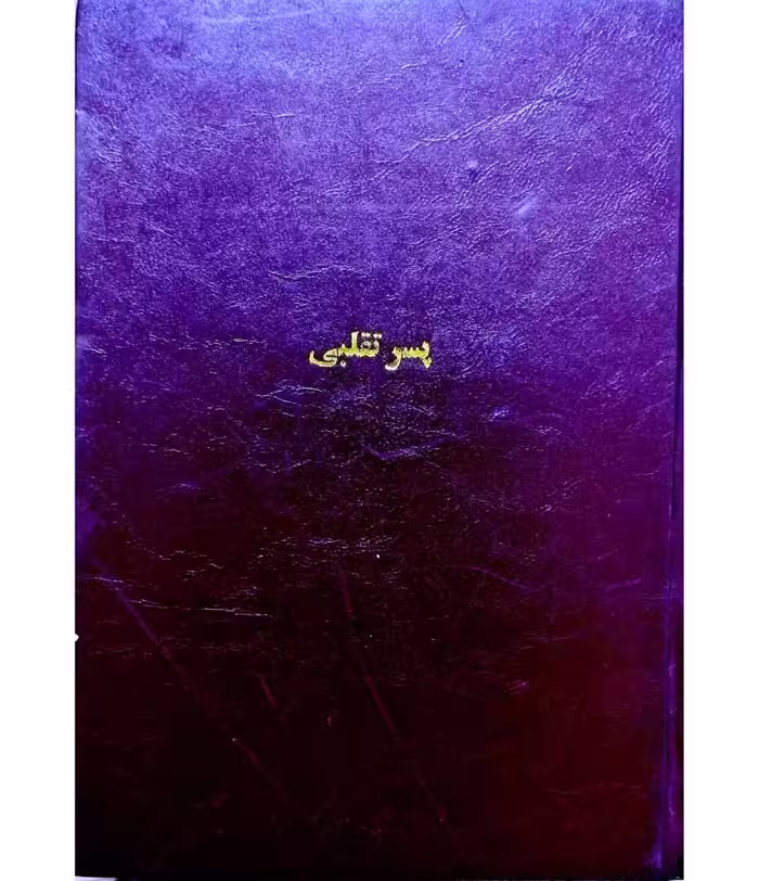 پسر تقلبی