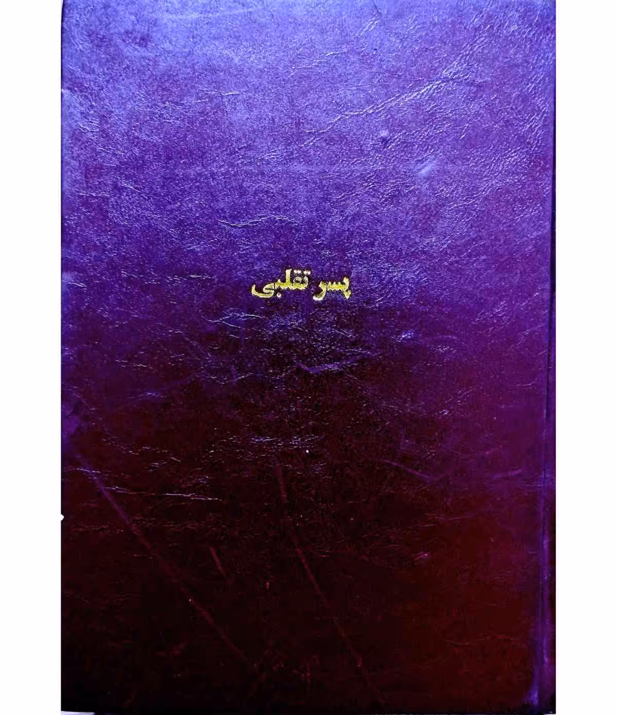 پسر تقلبی