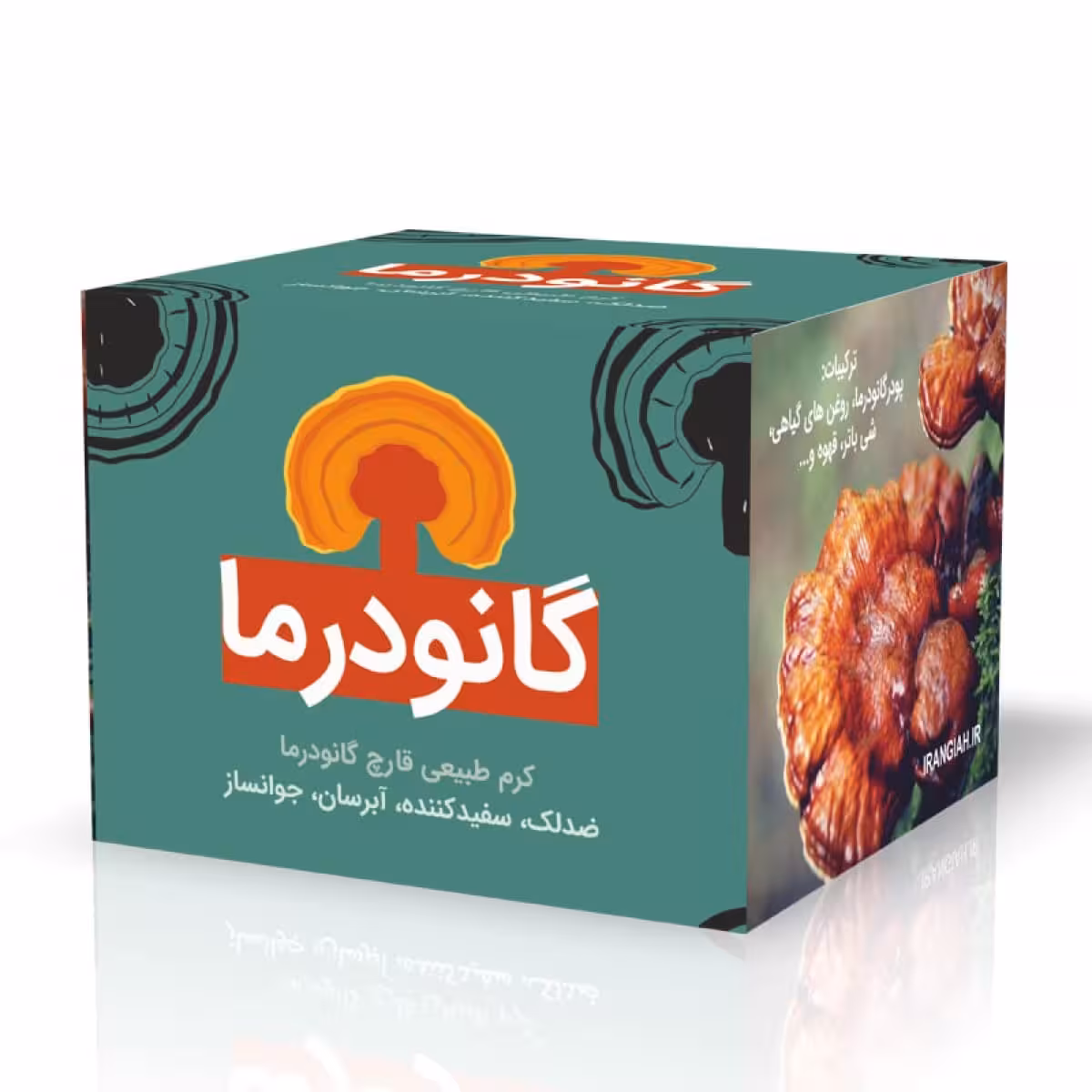 کرم گانودرما