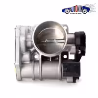 دريچه گاز برقي لیفان 820 با ایسیو دلفی