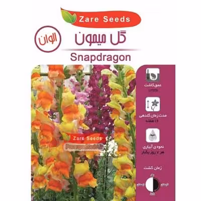 بذر گل میمون
