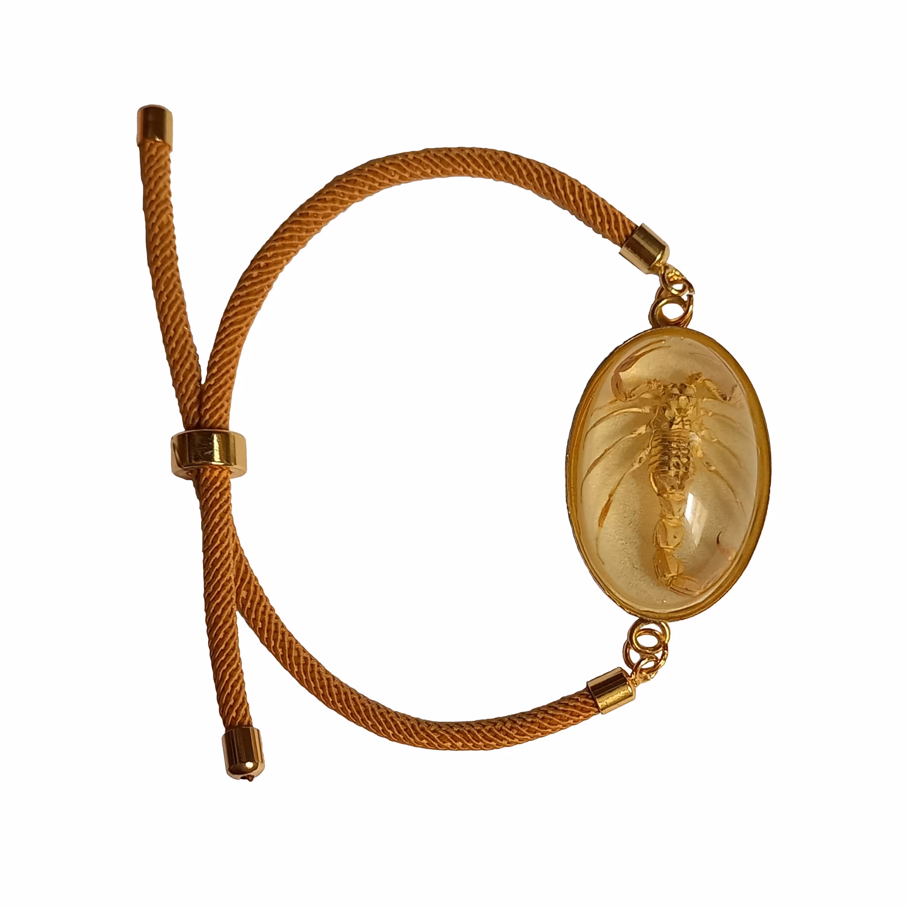 دستبند بیضی شکل با عقرب واقعی مدل Bracelet