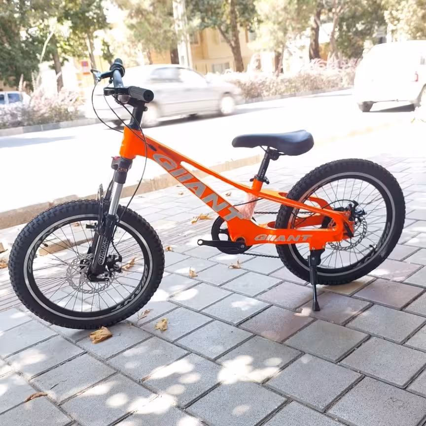 دوچرخه سایز 20 برندGIIANT