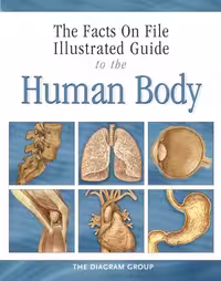 خرید و دانلود نسخه کامل کتاب Illustrated Guide to the Human Body: The Respiratory System (Facts on File)