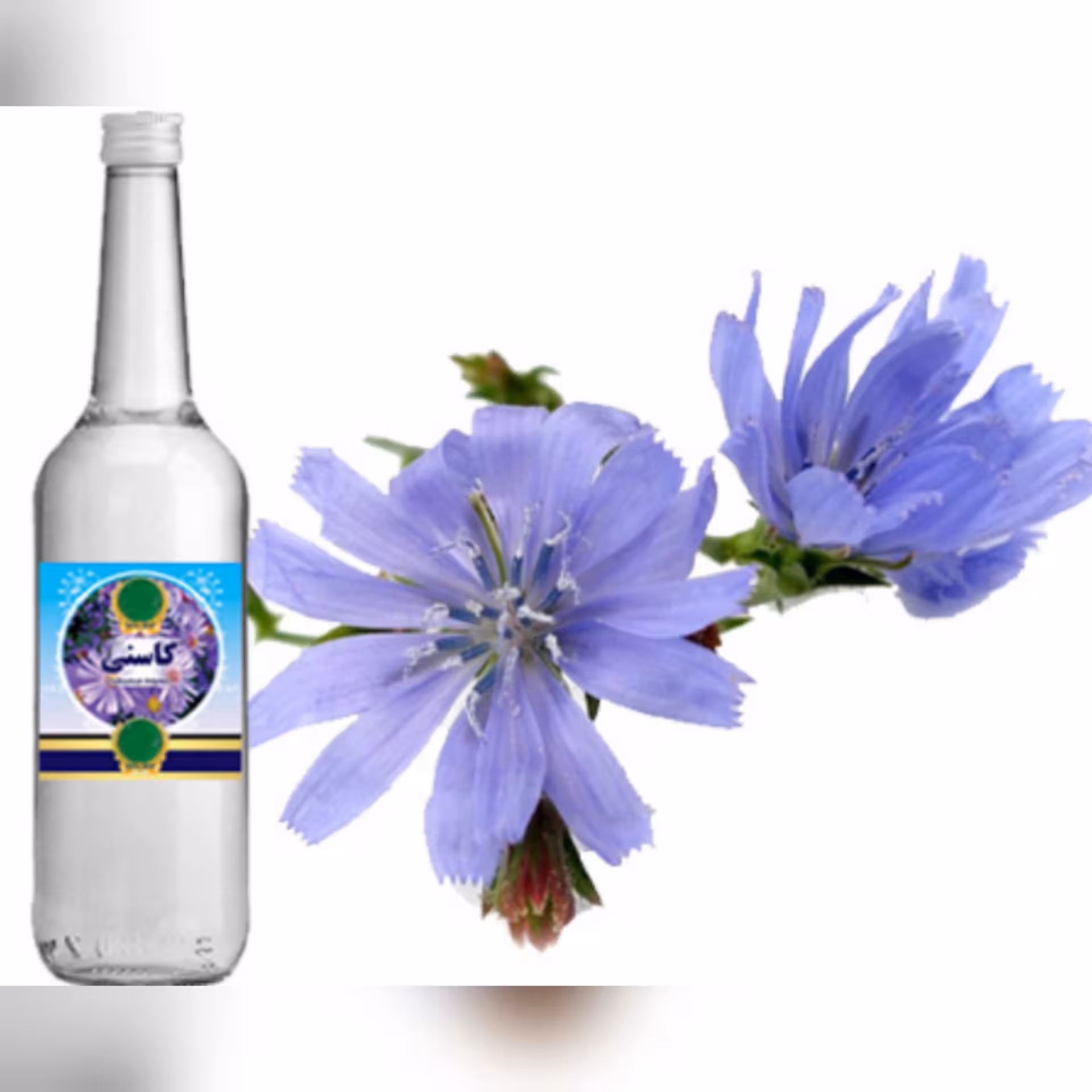 عرق کاسنی یک لیتری  تصفیه خون ، تقویت کبد و کلیه