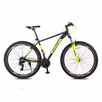 دوچرخه بلست مدل MOMENTUM 29″ V-24SP دلفینی