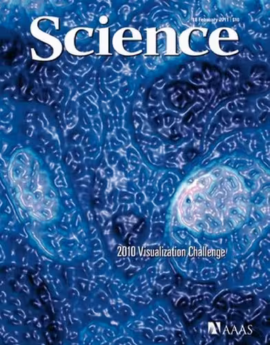 خرید و دانلود نسخه کامل کتاب Science Magazine 18 February 2011
