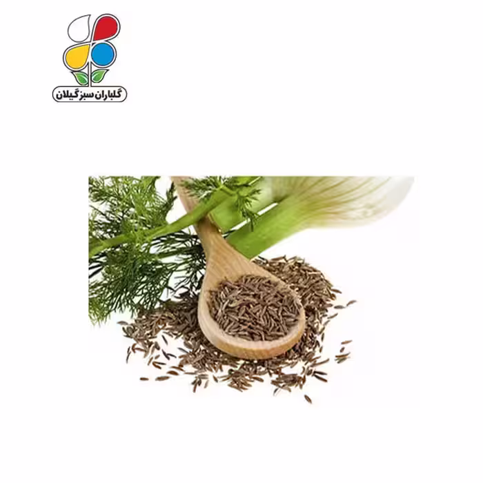 بذر رازیانه بسته بندی بزرگ