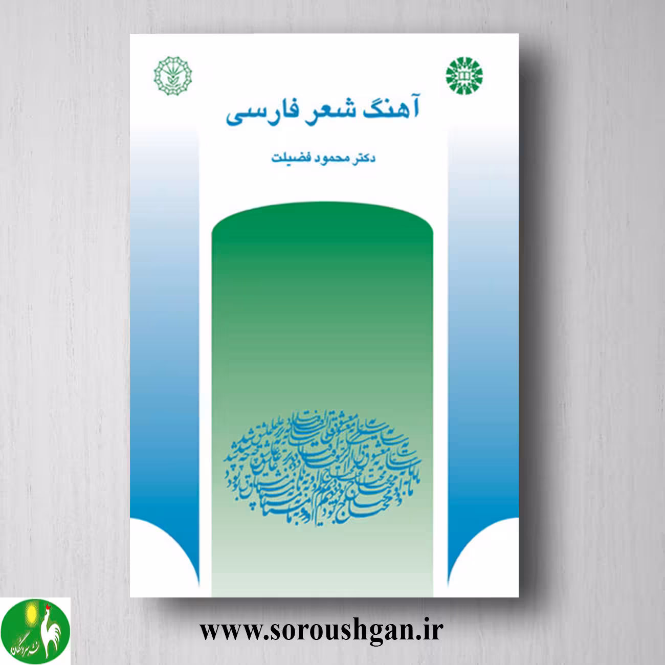 کتاب آهنگ شعر فارسی اثر محمود فضیلت