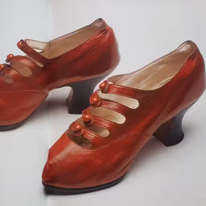 كتاب Rayne Shoes for Stars اثر Michael Pick انتشارات ACC Art Books