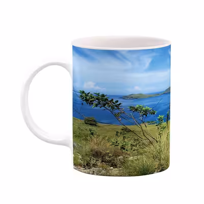 ماگ طرح طبیعت مدل mgs05792