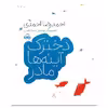 کتاب دخترک آیـینه‌ها مادر اثر احمدرضا احمدی انتشارات پرتقال
