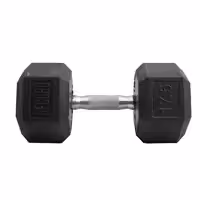 دمبل رکورد مدل 1400 وزن 17.5 کیلوگرم بسته 2 عددی