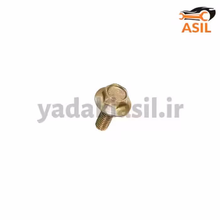 پیچ گلگیر پراید