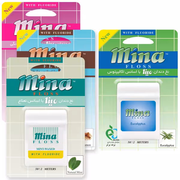 نخ دندان مینا