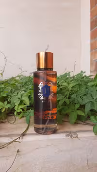 بادی اسپلش پرنس با رایحه  تری د هرمس مدل TERRE D HERMES حجم 250 میلی لیتر