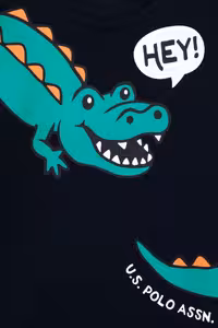 سویشرت پسرانه سرمه ای یو اس پولو