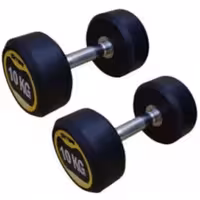 دمبل گرد 10 کیلویی بسته 2 عددی