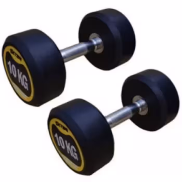 دمبل گرد 10 کیلویی بسته 2 عددی