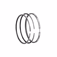 رینگ پیستون چانگان ایدو