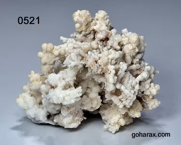 سنگ زینتی آراگونیت مرجانی