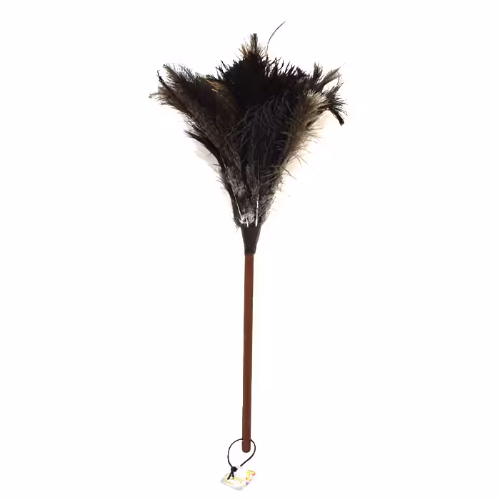 گردگیر پرشترمرغ اصلی پر متوسط