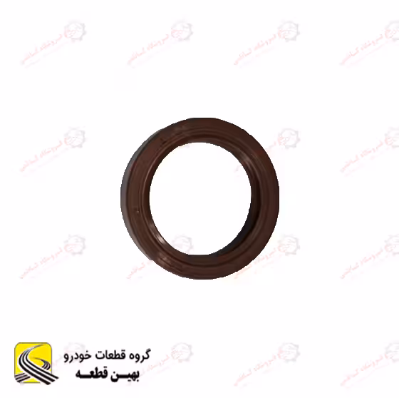 کاسه نمد پلوس اريو دستي