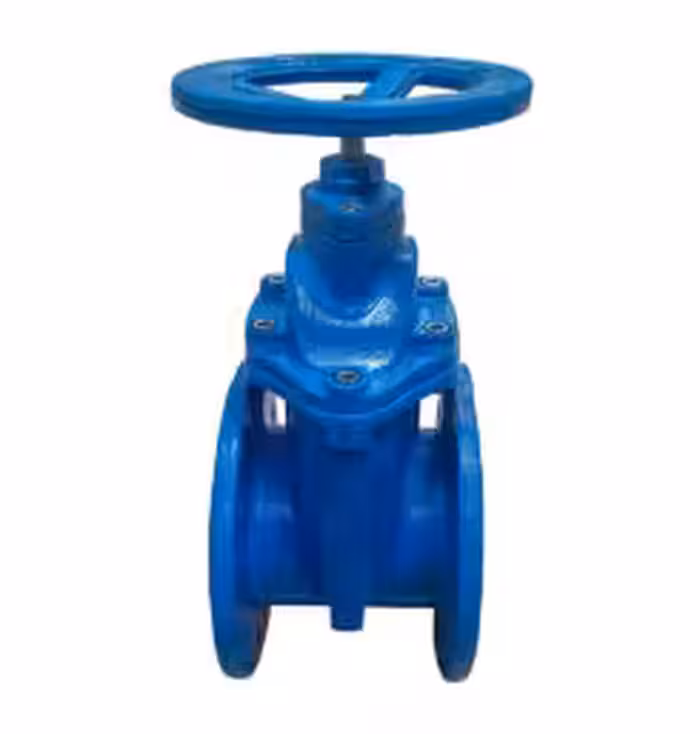 شیرفلکه کشویی زبانه لاستیکی سایز 3 اینچ 16-GGG40/PN10شیرود