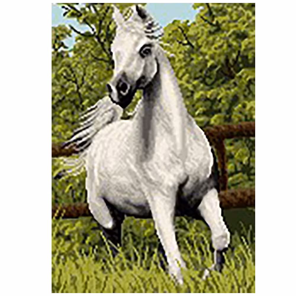 طرح آموزشی اسب کد 21054