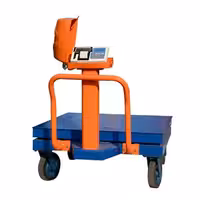 باسکول 1.5 تن پرینتردار بی نظیر تک لودسل SB61