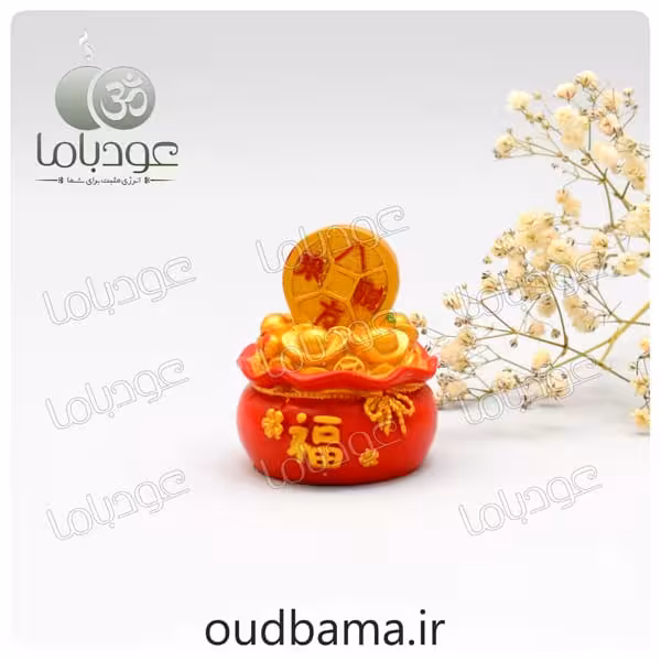 کیسه ثروت سکه ایچینگ فنگشویی