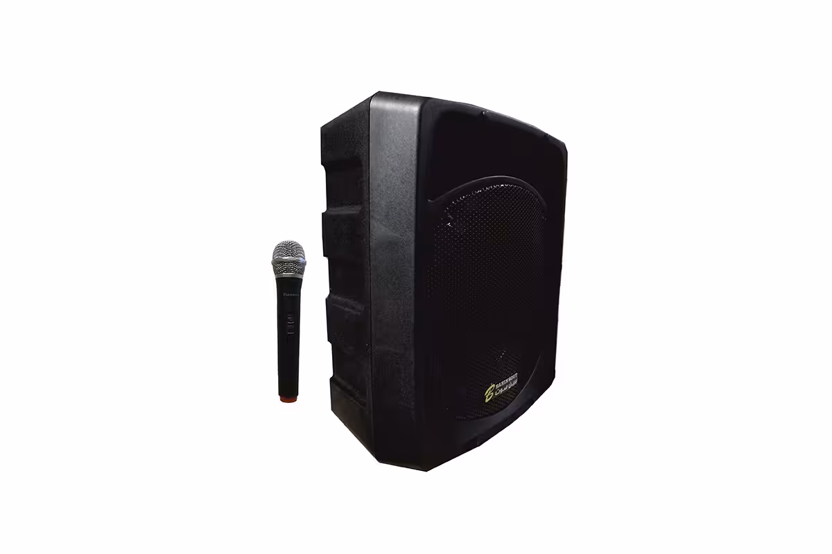 اکو همراه برین صوت Barin 12200 با میکروفن