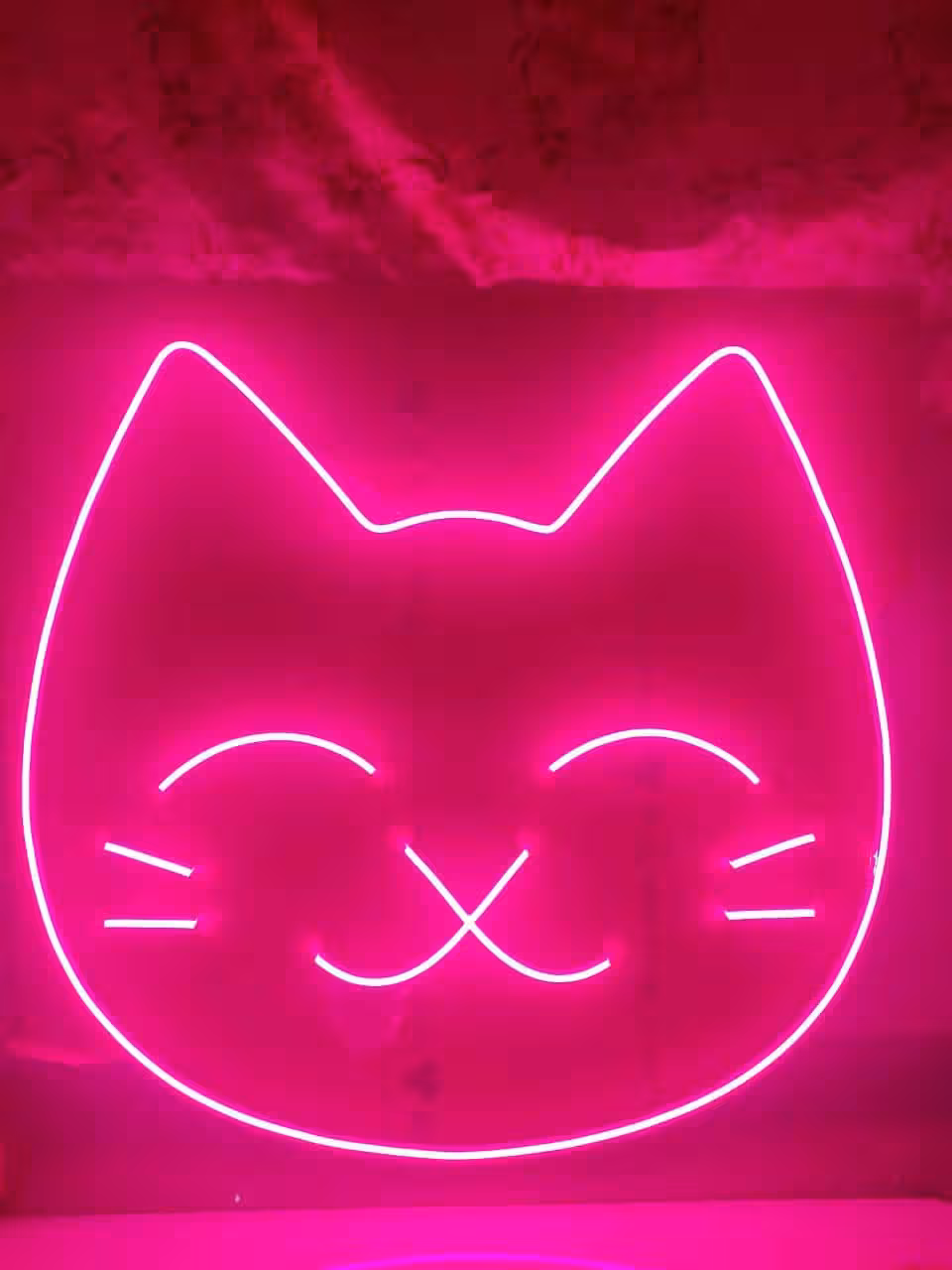 چراغ نئونی گربه LED Neon