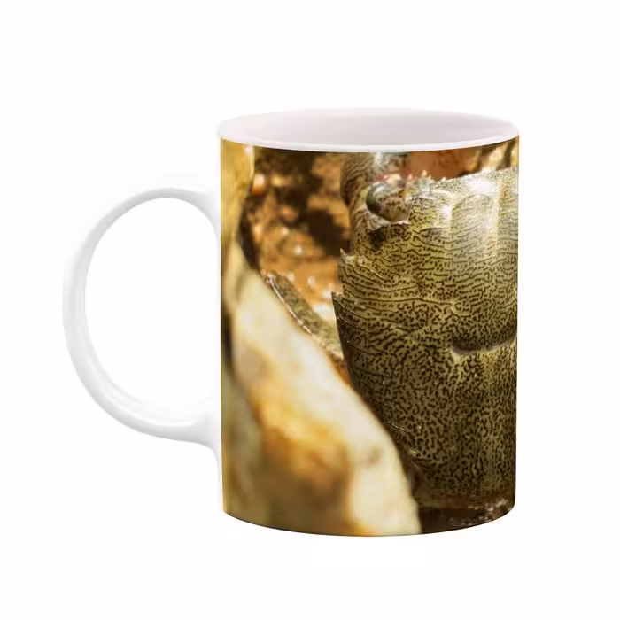 ماگ طرح طبیعت و حیات وحش زیبا  مدل mgp14783