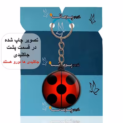 جاکلیدی پرمانه طرح کفشدوزکی کد pmj.728