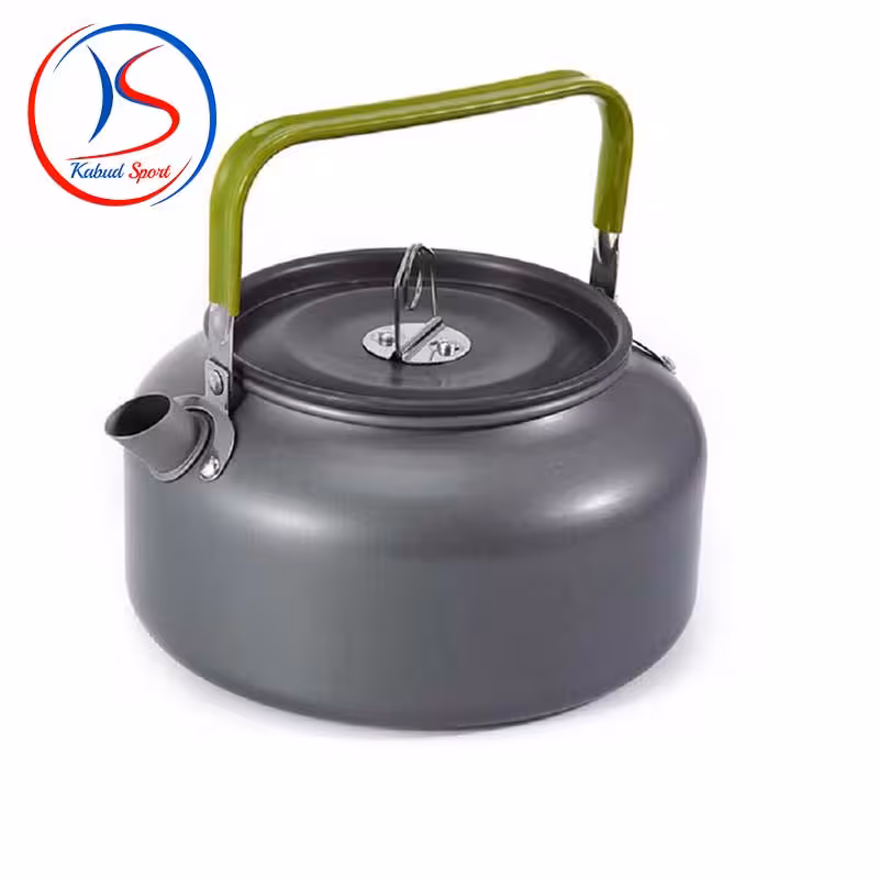 کتری 0.8 لیتری مدل DS-08