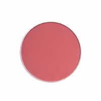 رژگونه پیپا مدل Remix کد 881