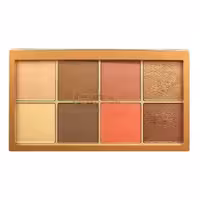 پالت صورت تکنیک