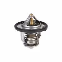 ترموستات سوناتا NF