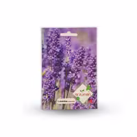 بذر اسطوخودوس ترک آرزومان