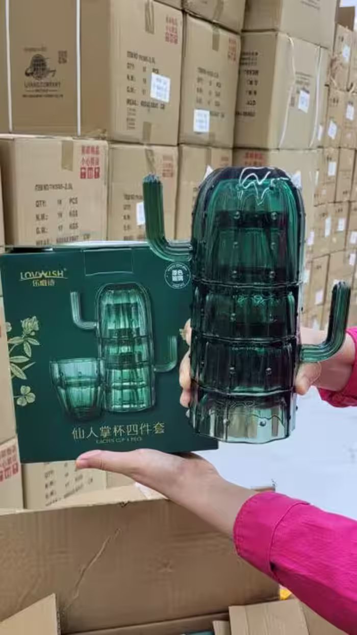 ست 4 عددی لیوان کاکتوس