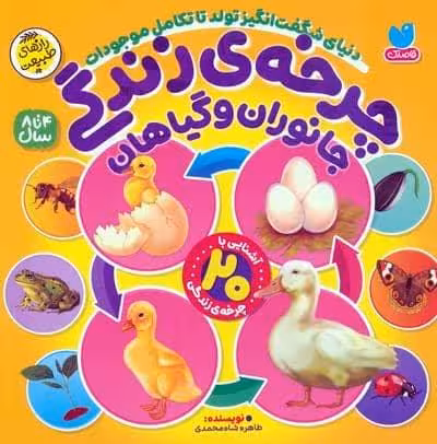 چرخه ی زندگی جانوران و گیاهان (دنیای شگفت انگیز تولد تا تکامل موجودات)