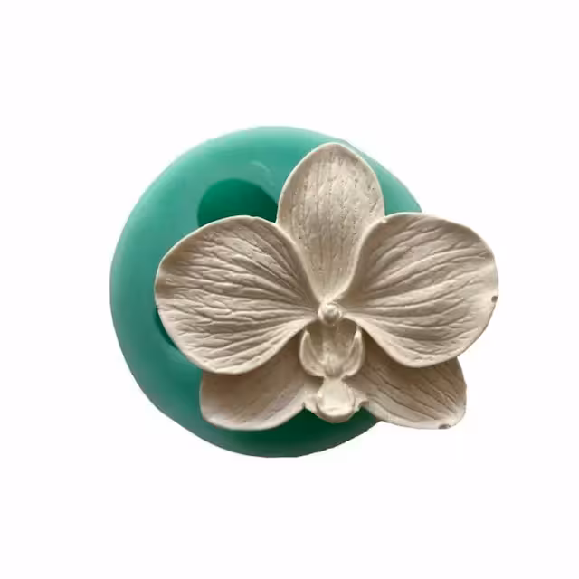 مولدگل ارکیده بودکور