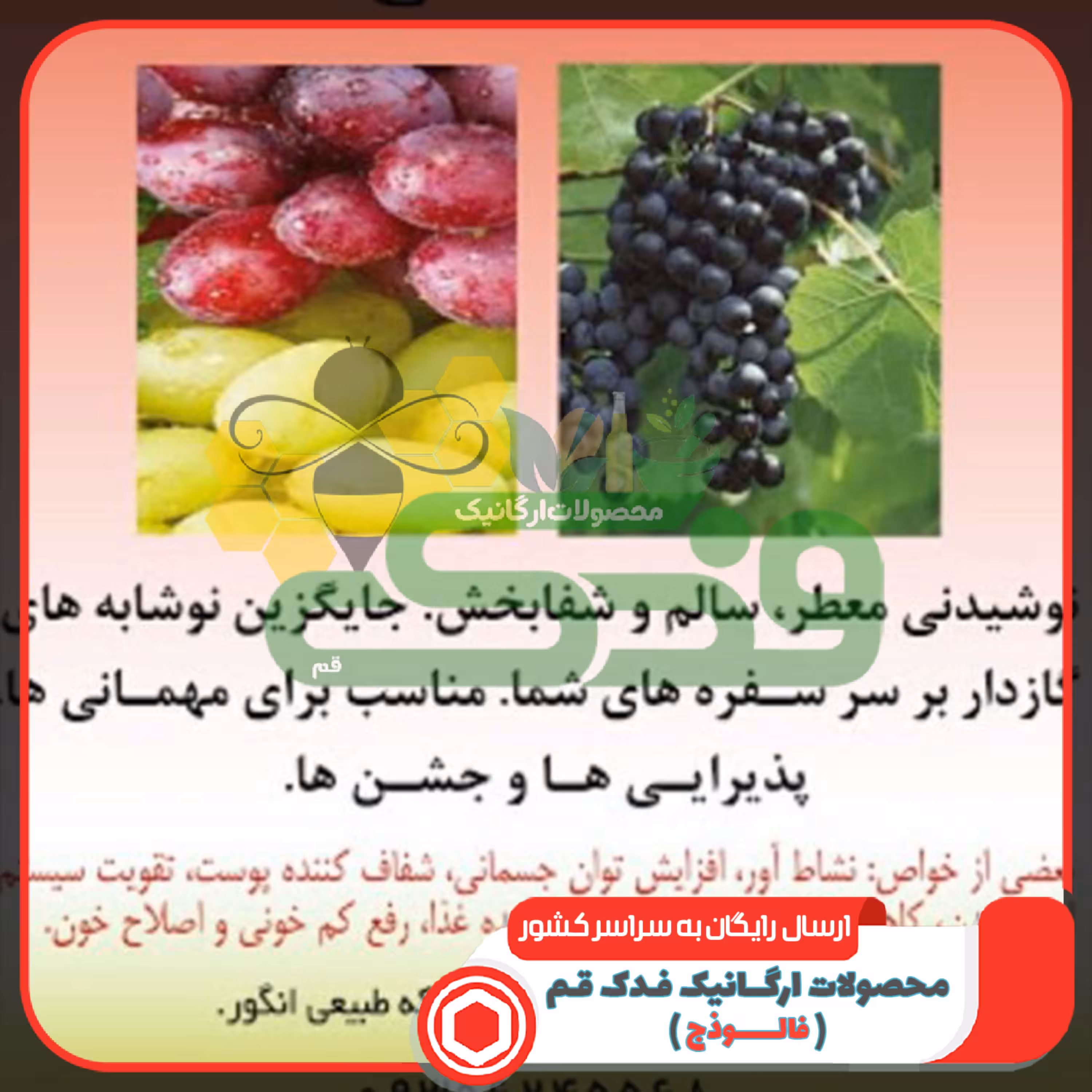 سرکه شیره اعلاء فدک (600گرم)